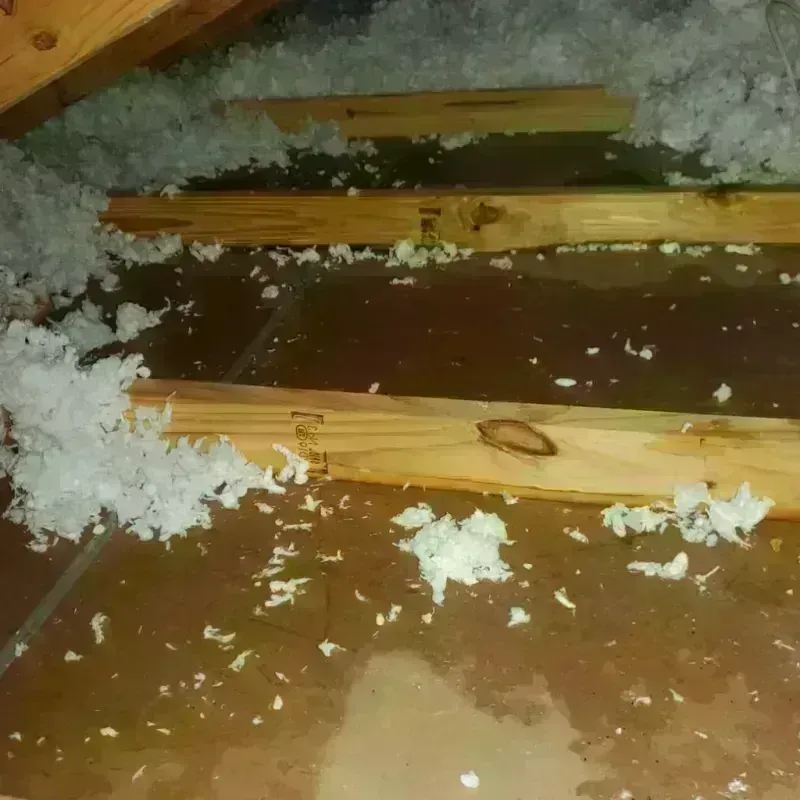 Attic Water Damage in Sherman Oaks, CA